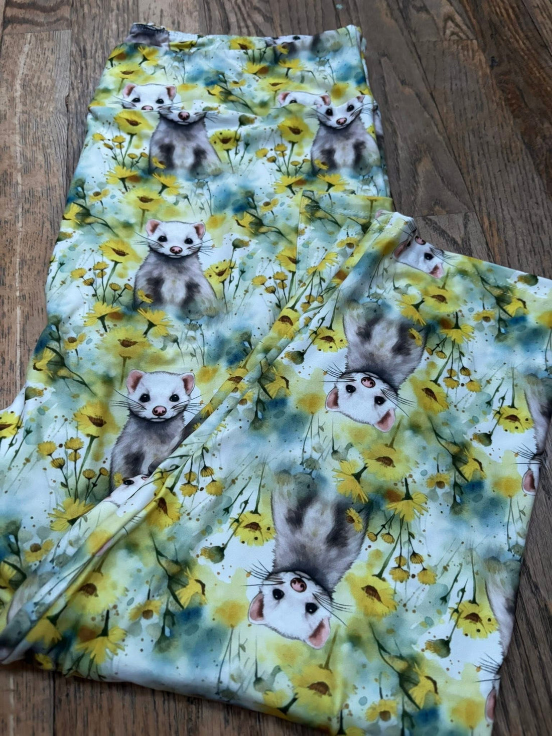 Ferret capri